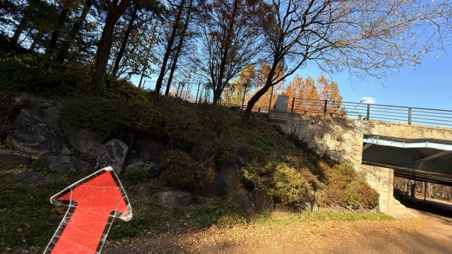 Hand-painted penguin stone #755 hidden at Bridge in the Seoul Forest, Seoul, South Korea (photo 2 of 5)