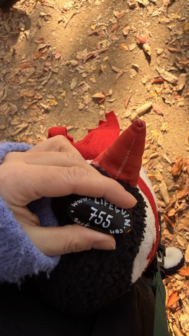 Hand-painted penguin stone #755 hidden at Bridge in the Seoul Forest, Seoul, South Korea (photo 5 of 5)