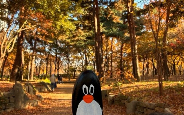 Hand-painted penguin stone #755 hidden at Bridge in the Seoul Forest, Seoul, South Korea