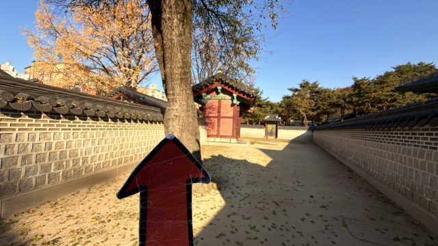 Hand-painted penguin stone #760 hidden at Tree at Changdeokgung Palace, Seoul, South Korea (photo 3 of 5)