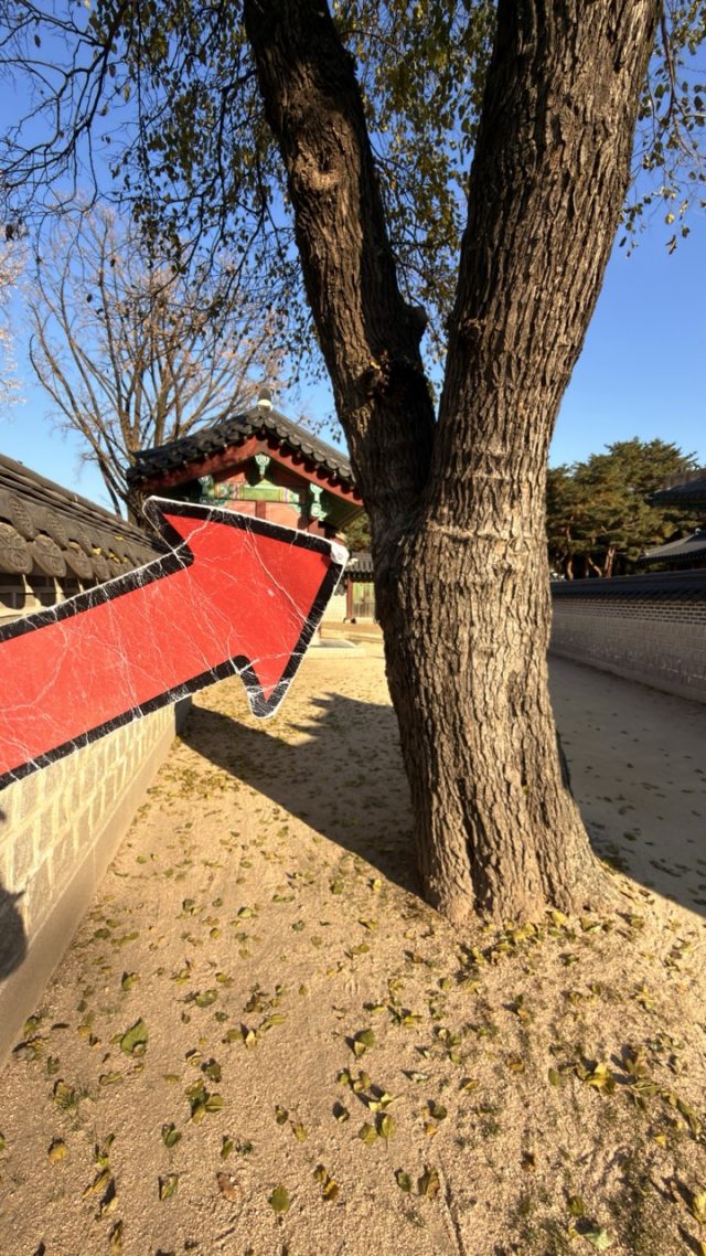 Hand-painted penguin stone #760 hidden at Tree at Changdeokgung Palace, Seoul, South Korea (photo 5 of 5)