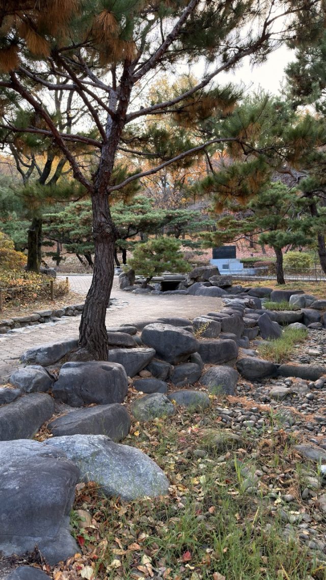 Hand-painted penguin stone #768 hidden at Namsan Gugakdang, Seoul, South Korea (photo 2 of 5)