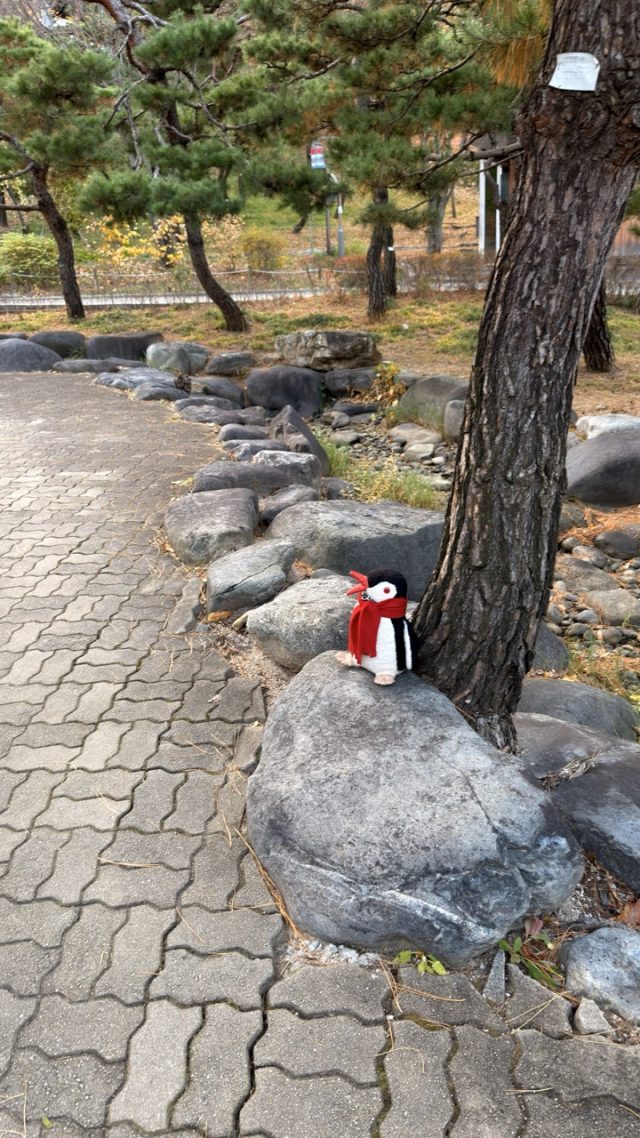 Hand-painted penguin stone #768 hidden at Namsan Gugakdang, Seoul, South Korea (photo 3 of 5)