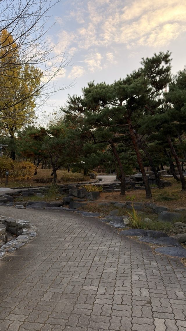 Hand-painted penguin stone #768 hidden at Namsan Gugakdang, Seoul, South Korea (photo 4 of 5)