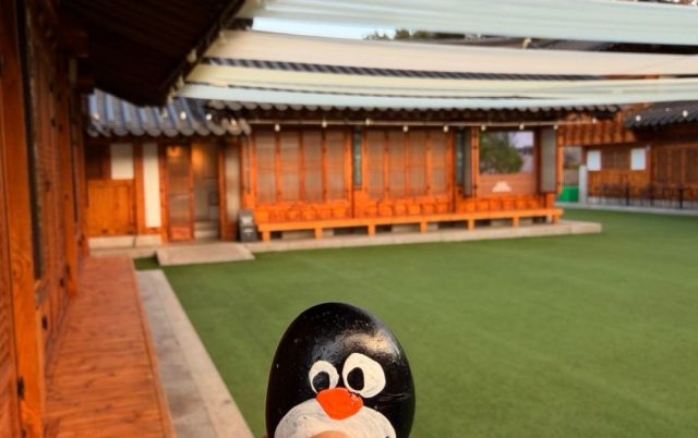 Hand-painted penguin stone #768 hidden at Namsan Gugakdang, Seoul, South Korea