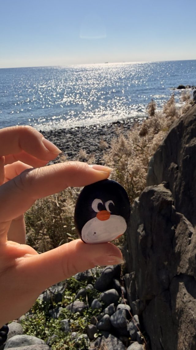 Hand-painted penguin stone #771 hidden at Pebble Beach, Busan, South Korea (photo 2 of 5)