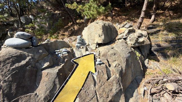 Hand-painted penguin stone #771 hidden at Pebble Beach, Busan, South Korea (photo 3 of 5)
