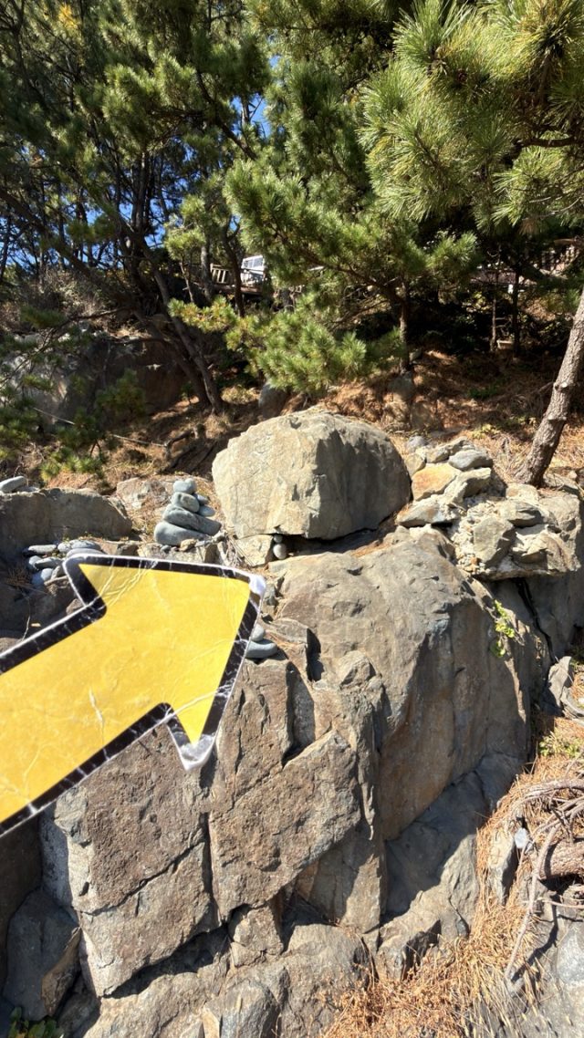 Hand-painted penguin stone #771 hidden at Pebble Beach, Busan, South Korea (photo 4 of 5)