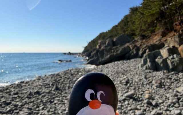 Hand-painted penguin stone #771 hidden at Pebble Beach, Busan, South Korea