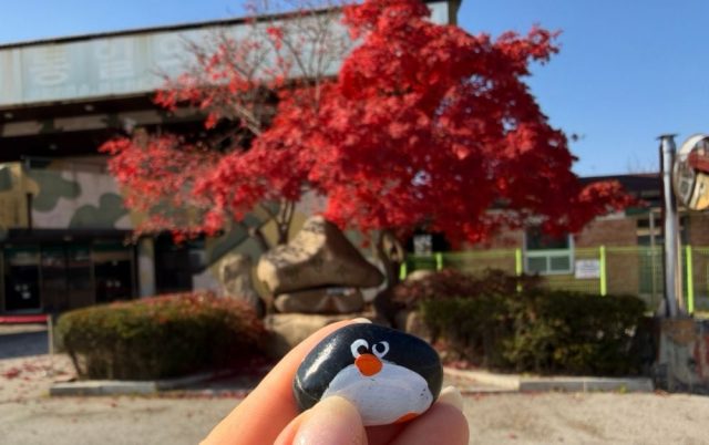 Hand-painted penguin stone #773 hidden at Sign at Parking lot, DMZ, South Korea