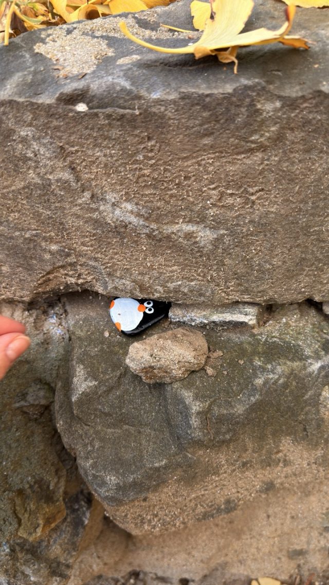 Hand-painted penguin stone #775 hidden at Ginkgo Tree Forest, Seoul, South Korea (photo 4 of 5)