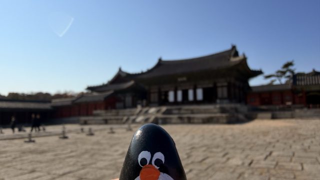 Hand-painted penguin stone #778 hidden at Dotori Garden Cafe, Seoul, South Korea (photo 5 of 5)