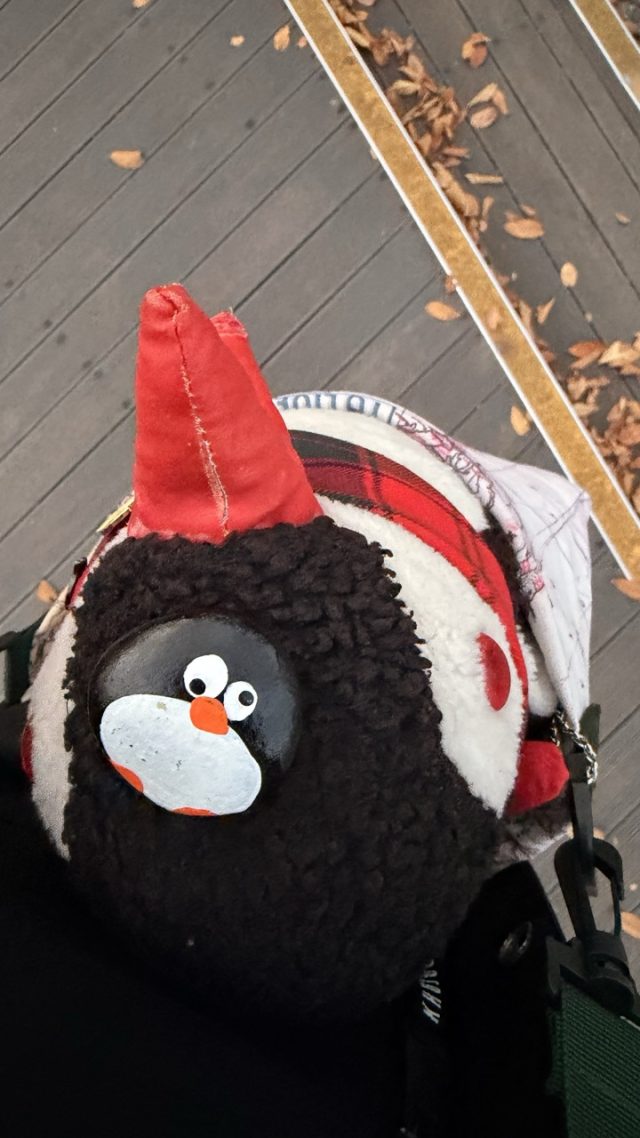 Hand-painted penguin stone #781 hidden at Namsan Northern Forest Trail, Seoul, South Korea (photo 5 of 5)