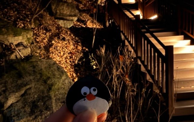Hand-painted penguin stone #781 hidden at Namsan Northern Forest Trail, Seoul, South Korea
