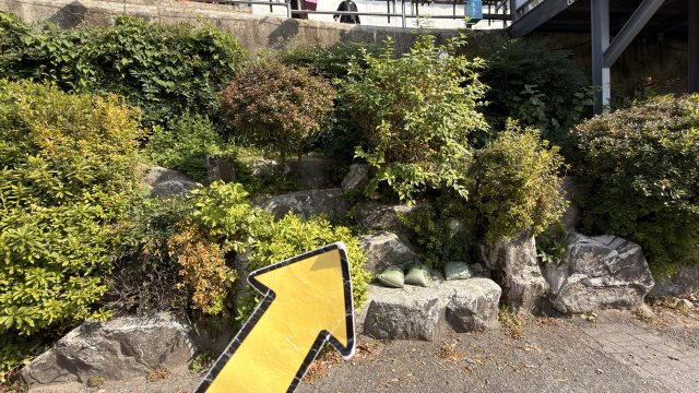 Hand-painted penguin stone #787 hidden at Gamcheon Culture Village, Busan, South Korea (photo 4 of 5)