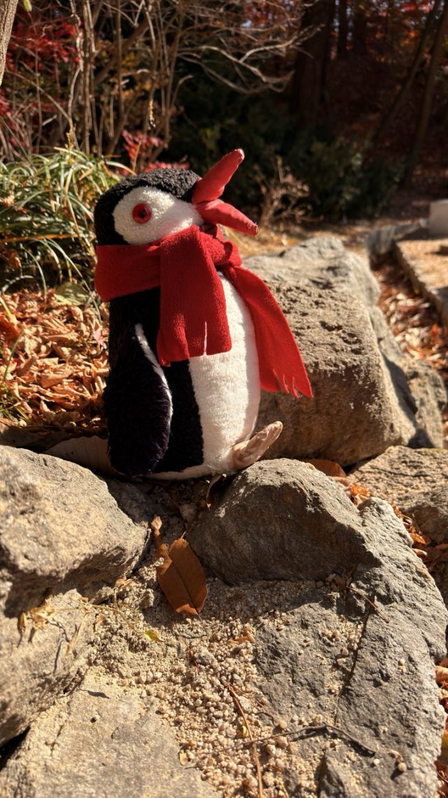 Hand-painted penguin stone #788 hidden at Tree at the Secret Garden, Seoul, South Korea (photo 5 of 5)