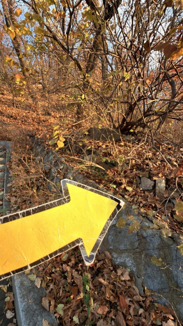 Hand-painted penguin stone #791 hidden at Namsan Dulle-gil Trail, Seoul, South Korea (photo 2 of 5)