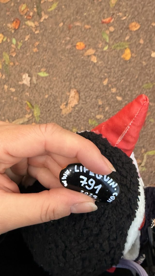 Hand-painted penguin stone #791 hidden at Namsan Dulle-gil Trail, Seoul, South Korea (photo 3 of 5)
