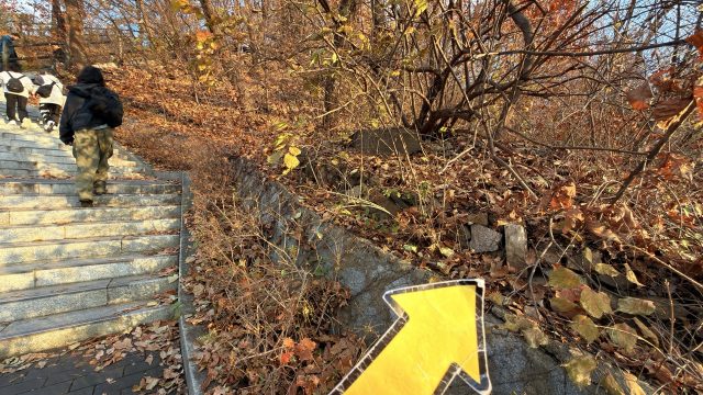 Hand-painted penguin stone #791 hidden at Namsan Dulle-gil Trail, Seoul, South Korea (photo 5 of 5)