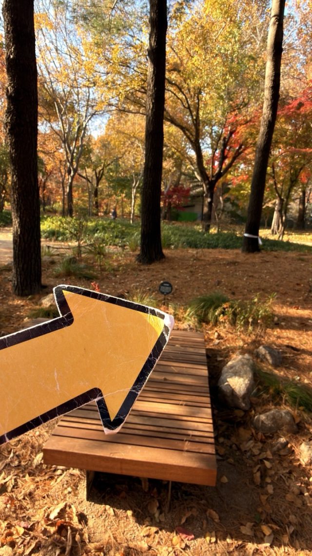 Hand-painted penguin stone #792 hidden at Seoul Forest, Seoul, South Korea (photo 2 of 5)