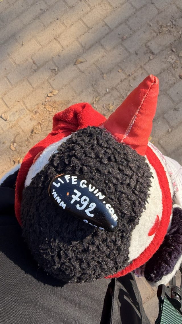 Hand-painted penguin stone #792 hidden at Seoul Forest, Seoul, South Korea (photo 3 of 5)