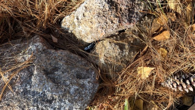 Hand-painted penguin stone #792 hidden at Seoul Forest, Seoul, South Korea (photo 4 of 5)