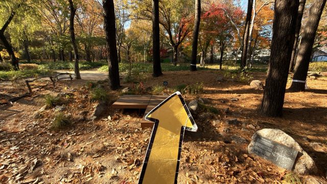 Hand-painted penguin stone #792 hidden at Seoul Forest, Seoul, South Korea (photo 5 of 5)
