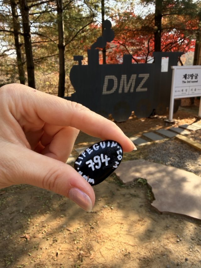 Hand-painted penguin stone #794 hidden at DMZ Sign, DMZ, South Korea (photo 4 of 5)