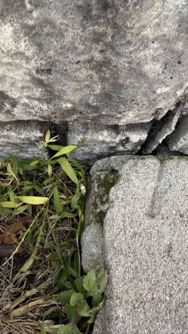 Hand-painted penguin stone #796 hidden at Book Alley at Gamcheon Culture Village, Busan, South Korea (photo 5 of 5)