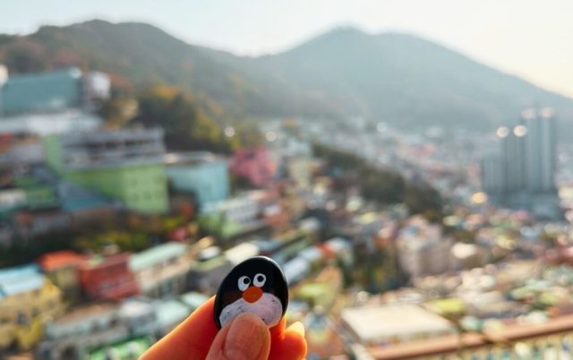 Hand-painted penguin stone #796 hidden at Book Alley at Gamcheon Culture Village, Busan, South Korea