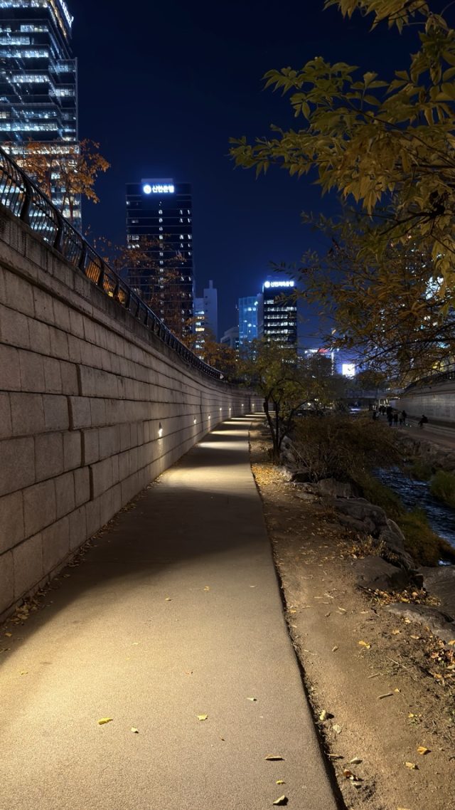 Hand-painted penguin stone #797 hidden at Samilgyo Bridge at Cheonggyecheon Stream, Seoul, South Korea (photo 4 of 5)