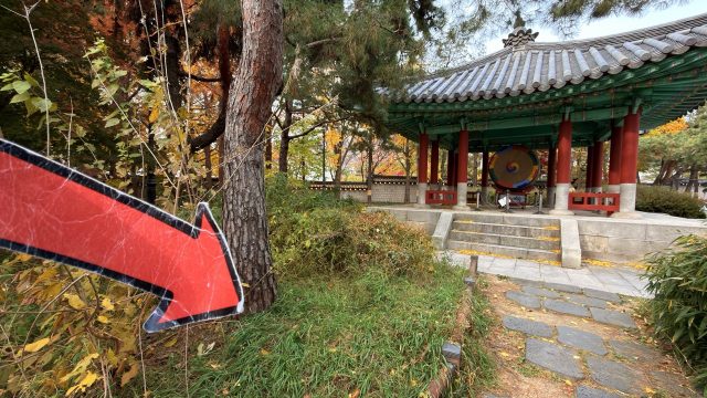 Hand-painted penguin stone #807 hidden at Cheongwadae Sarangchae, Seoul, South Korea (photo 3 of 5)