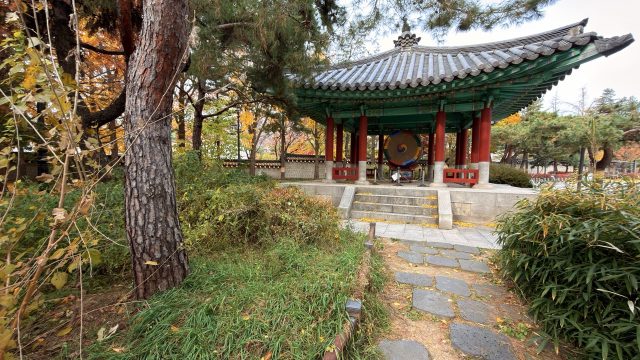 Hand-painted penguin stone #807 hidden at Cheongwadae Sarangchae, Seoul, South Korea (photo 5 of 5)