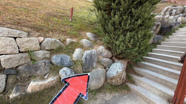 Hand-painted penguin stone #810 hidden at Seodaemun Independence Park & Prison History Hall, Seoul, South Korea (photo 4 of 5)