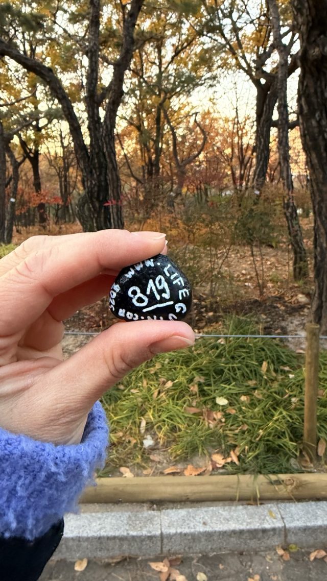 Hand-painted penguin stone #819 hidden at House in Gwanhun-dong, Seoul, South Korea (photo 5 of 5)