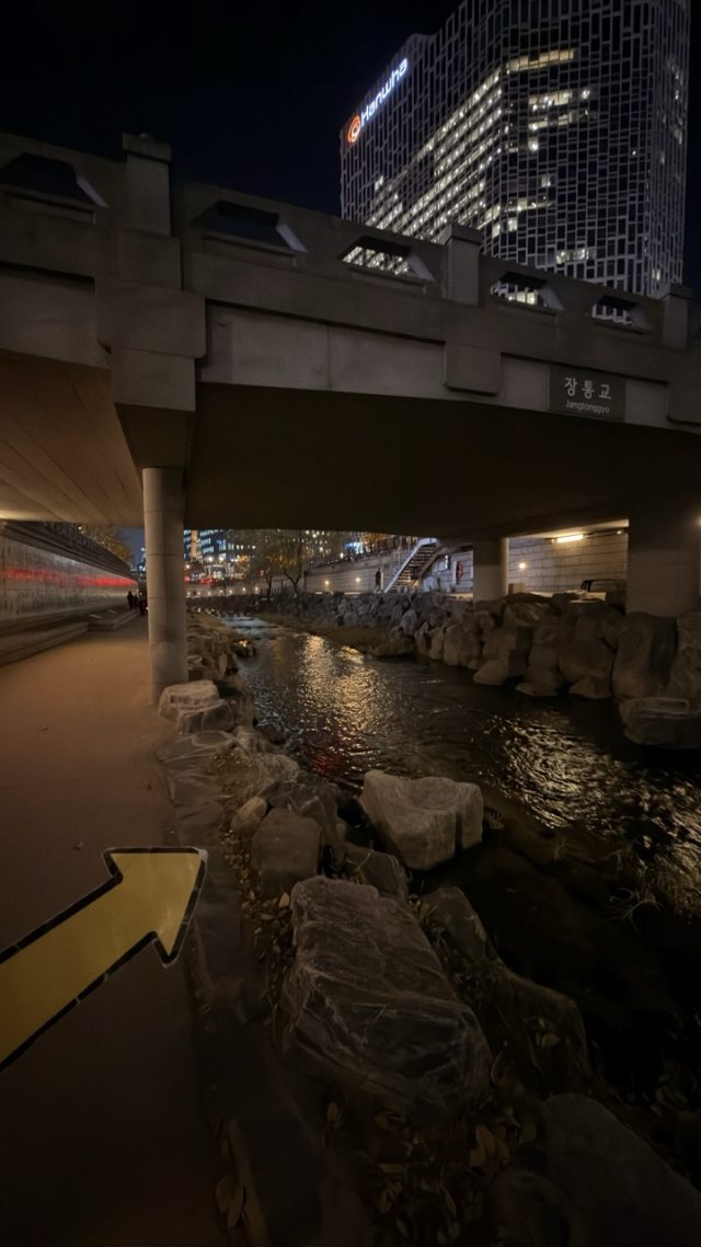 Hand-painted penguin stone #825 hidden at Jangtonggyo Bridge at Cheonggyecheon Stream, Seoul, South Korea (photo 4 of 5)