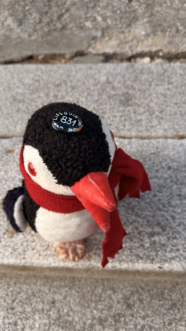 Hand-painted penguin stone #831 hidden at Fermentation Barrels in Namsan Gugakdang, Seoul, South Korea (photo 2 of 5)