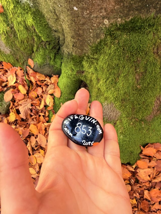 Hand-painted penguin stone #853 hidden at Tree close to Blue Trail, The Little Carpathians, Slovakia (photo 2 of 5)