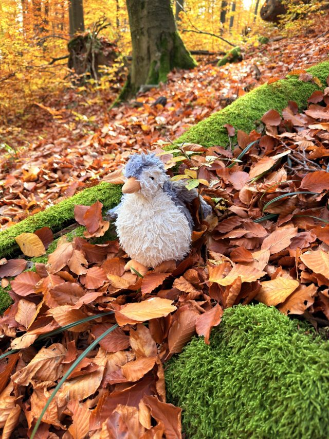 Hand-painted penguin stone #853 hidden at Tree close to Blue Trail, The Little Carpathians, Slovakia (photo 4 of 5)