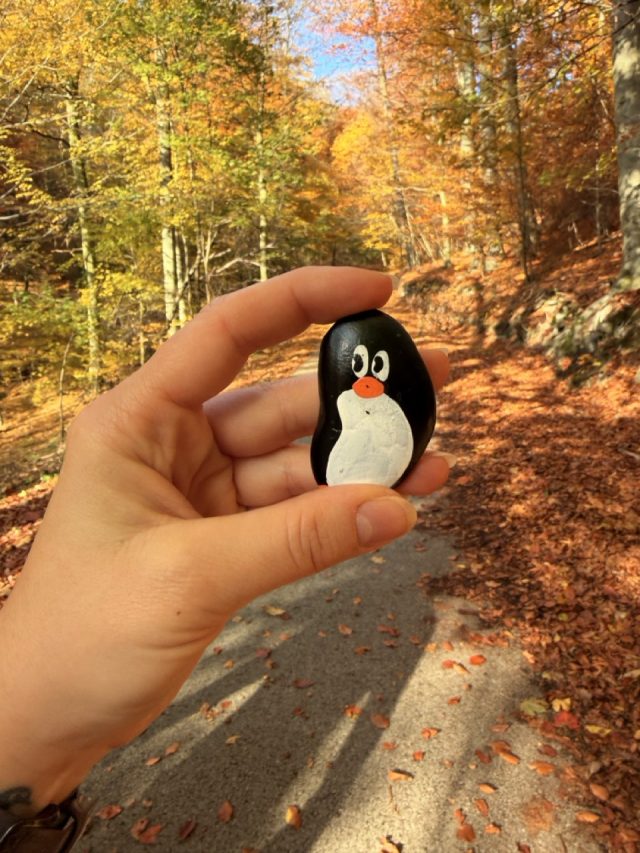 Hand-painted penguin stone #859 hidden at Tree on Trail, The Little Carpathians, Slovakia (photo 3 of 5)