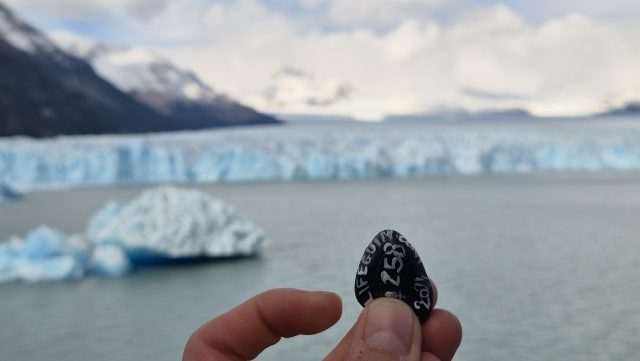 Hand-painted penguin stone #258 hidden at Perito Moreno Glacier, El Chalten, Argentina (photo 2 of 5)