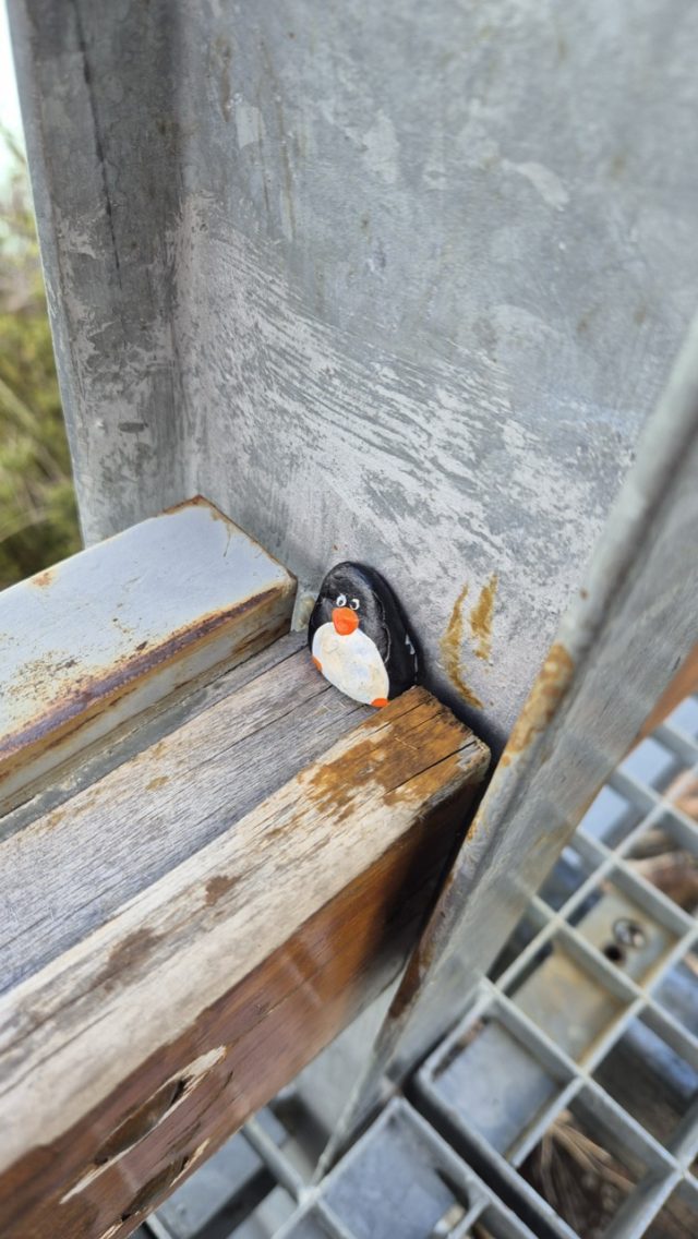 Hand-painted penguin stone #258 hidden at Perito Moreno Glacier, El Chalten, Argentina (photo 3 of 5)