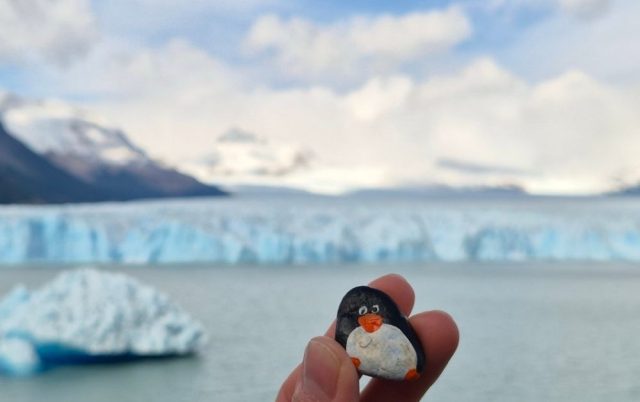 Hand-painted penguin stone #258 hidden at Perito Moreno Glacier, El Chalten, Argentina (photo 5 of 5)