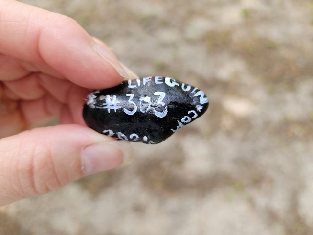 Hand-painted penguin stone #303 hidden at Currituck Beach Lighthouse, North Carolina, United States (photo 4 of 5)