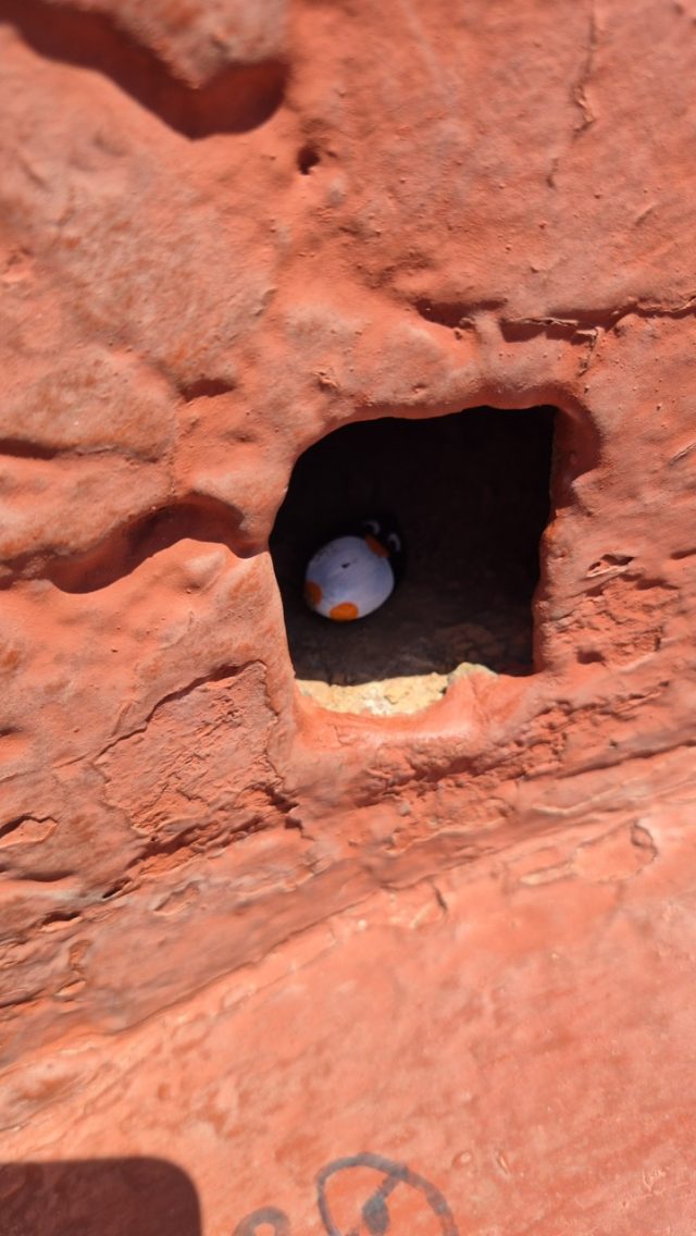 Hand-painted penguin stone #343 hidden at Cerro Santa Lucia, Santiago, Chile (photo 2 of 5)