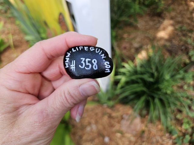 Hand-painted penguin stone #358 hidden at Sandoway Discovery Center, Florida, United States (photo 2 of 5)