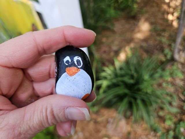 Hand-painted penguin stone #358 hidden at Sandoway Discovery Center, Florida, United States (photo 3 of 5)