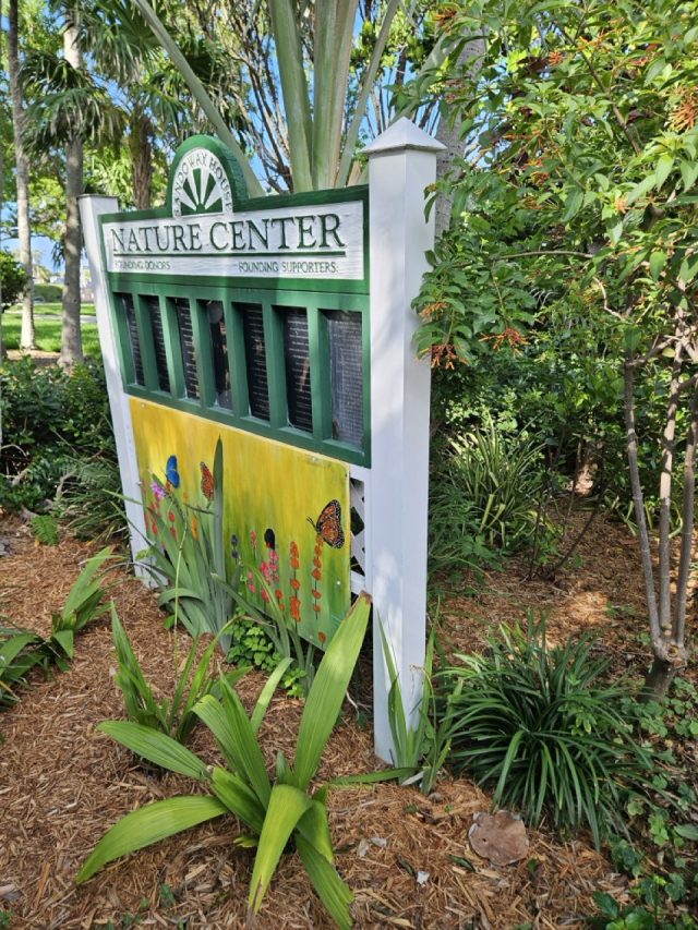 Hand-painted penguin stone #358 hidden at Sandoway Discovery Center, Florida, United States (photo 5 of 5)