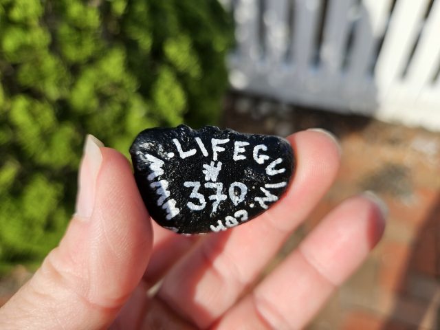 Hand-painted penguin stone #370 hidden at The Tranquil House Inn, North Carolina, United States (photo 3 of 5)