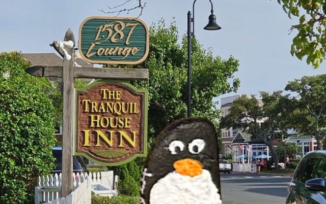 Hand-painted penguin stone #370 hidden at The Tranquil House Inn, North Carolina, United States